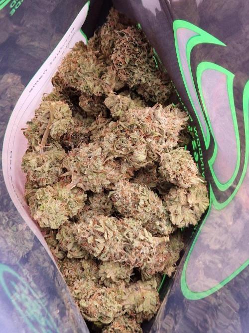 The White Sweet Candy OG One USAGenetics. Week 19