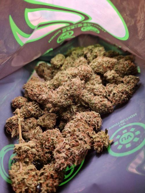 The White Sweet Candy OG One USAGenetics. Week 19