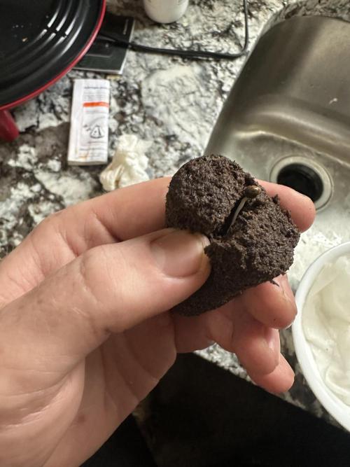 A man and his plants (Pannie). Week 0