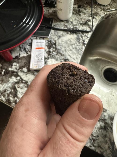 A man and his plants (Pannie). Week 0