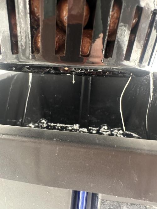 A man and his plants (Pannie). Week 1