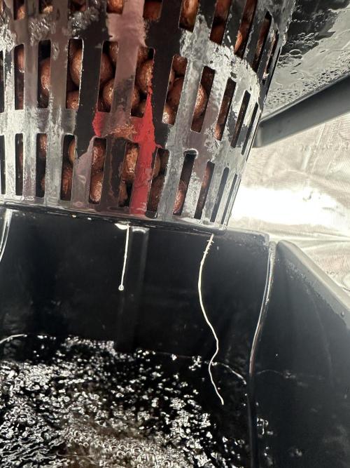 A man and his plants (Pannie). Week 1