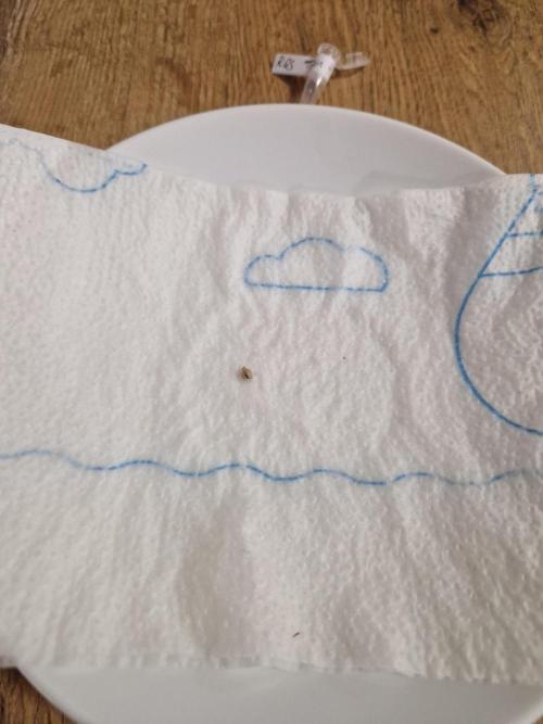 Titan F1. Week 0 - 18.01.2026, 8 pm