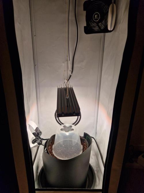 Titan F1. Week 0 - 20.01.2026