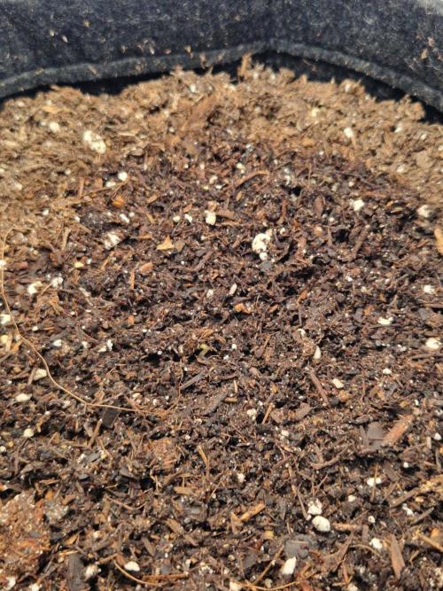 Titan F1. Week 0 - 24.01.2026, 10 pm