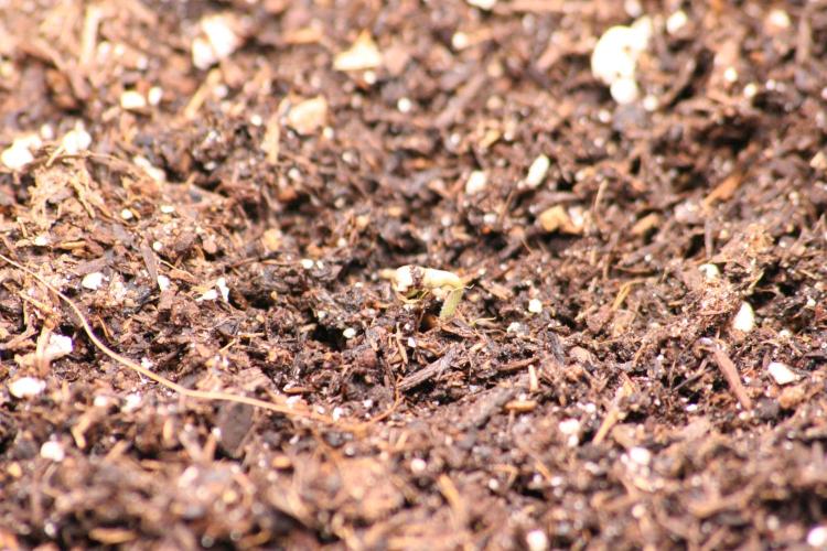 Titan F1. Week 0 - 25.01.2026, 10 am