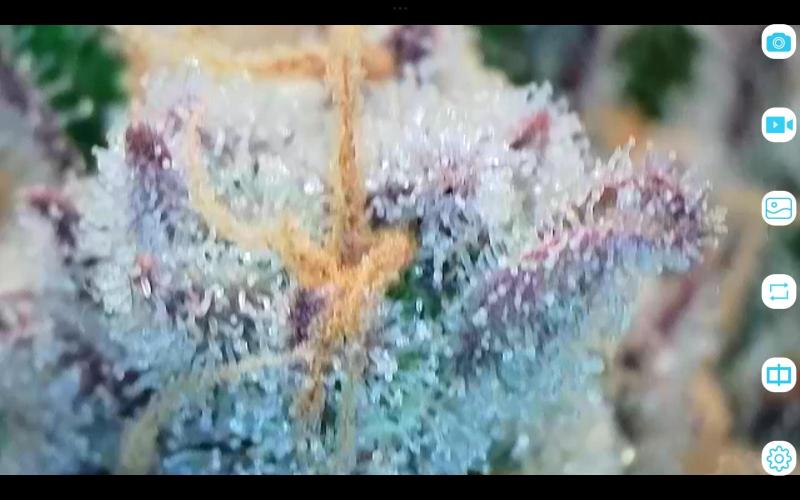 FastBuds Mixed Run. Week 12