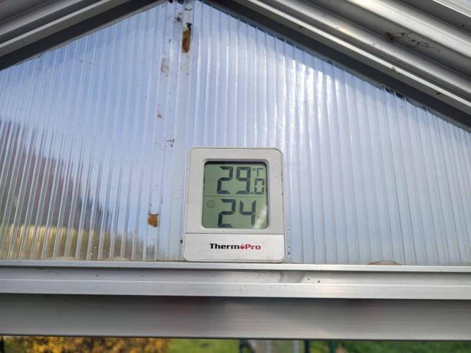 Grow 2k26 „only autos outdoor“. Week 1