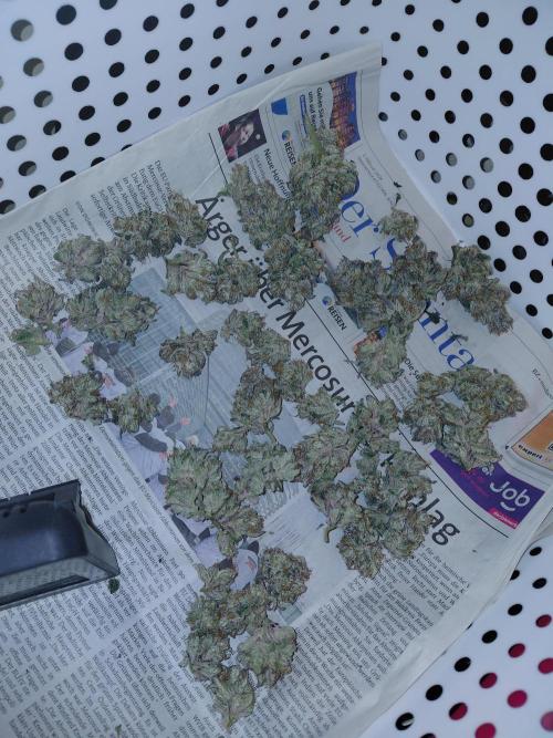 Red Lemonade (RS11×SuperLemonHaze). Week 15