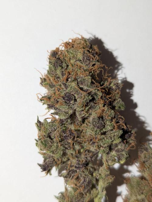 Winter25 - Cookies. Week 14