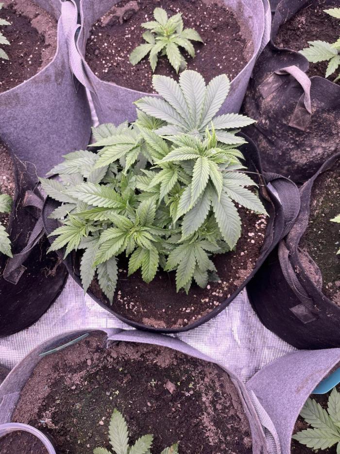 Hickey 1.12.25. Week 3