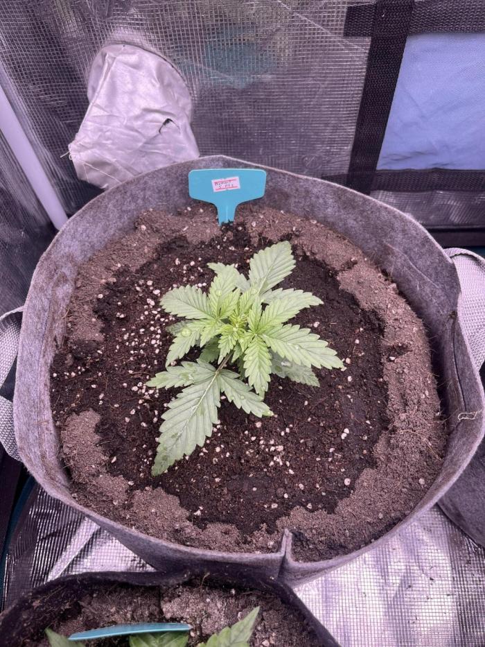 Hickey 1-12-25. Week 2