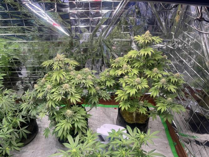 Hickey 1-9-25. Week 6