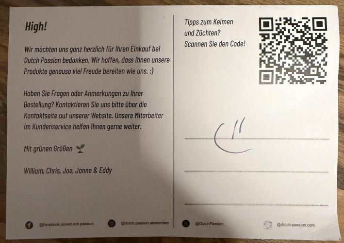 Blueberry by Dutch Passion. Week 0