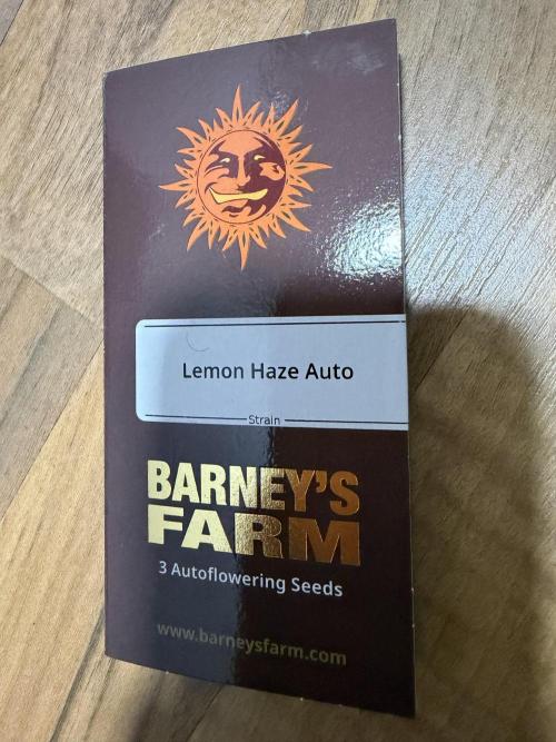 Lemon Haze by Barneys Farm. Week 0