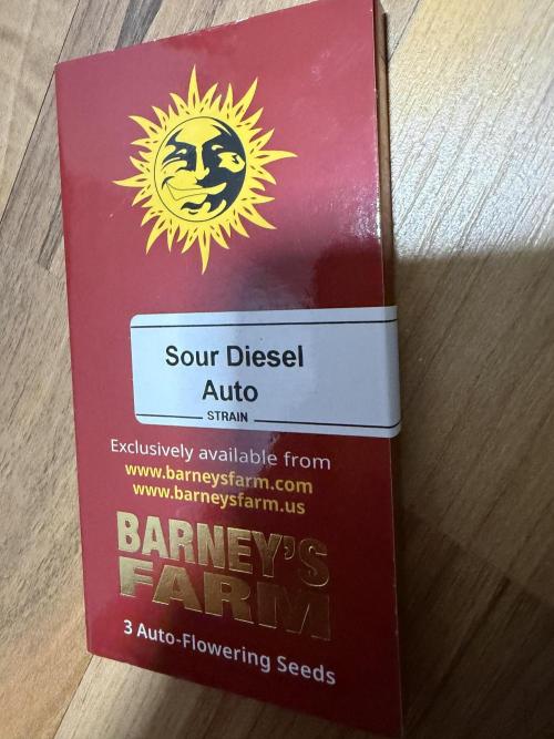 Sour Diesel by Barneys Farm. Week 0