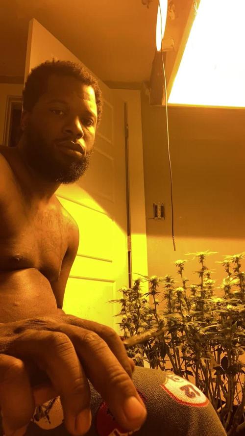 Cement Shoes and Wedding Cake Canuk Elite S