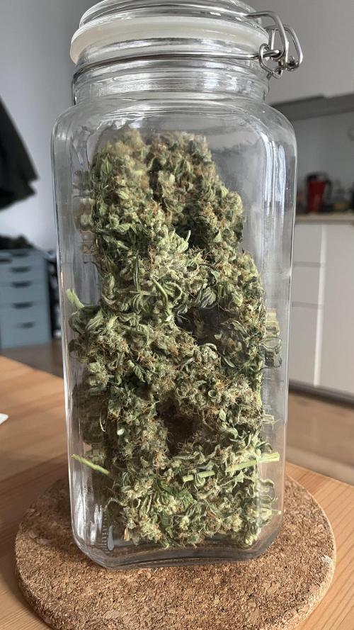 Northern lights take 2. Week 9