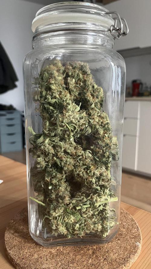 Northern lights take 2. Week 9