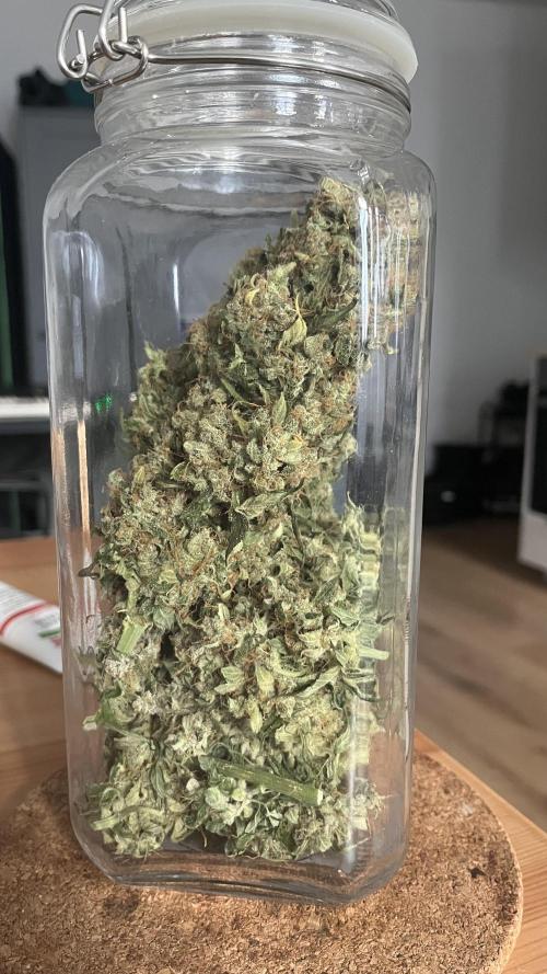 Northern lights take 2. Week 9