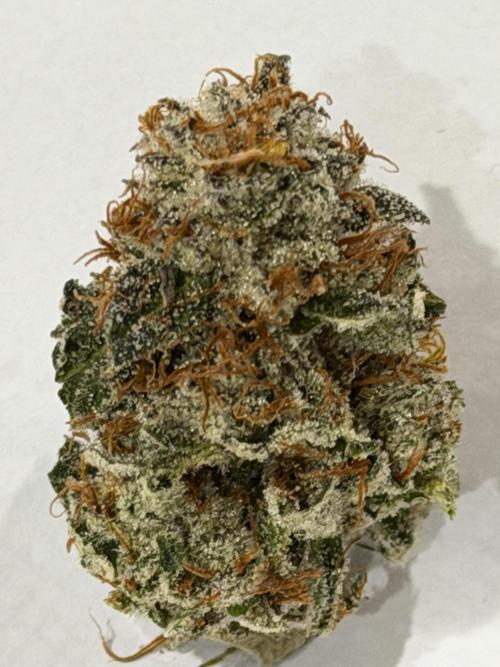 Compound genetics. Week 9