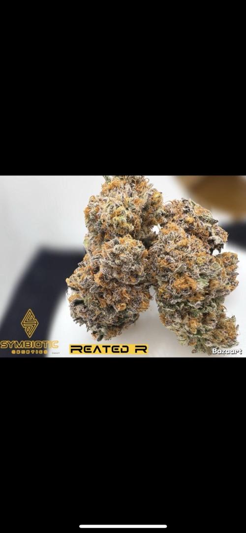 Clone mix party. Week 13
