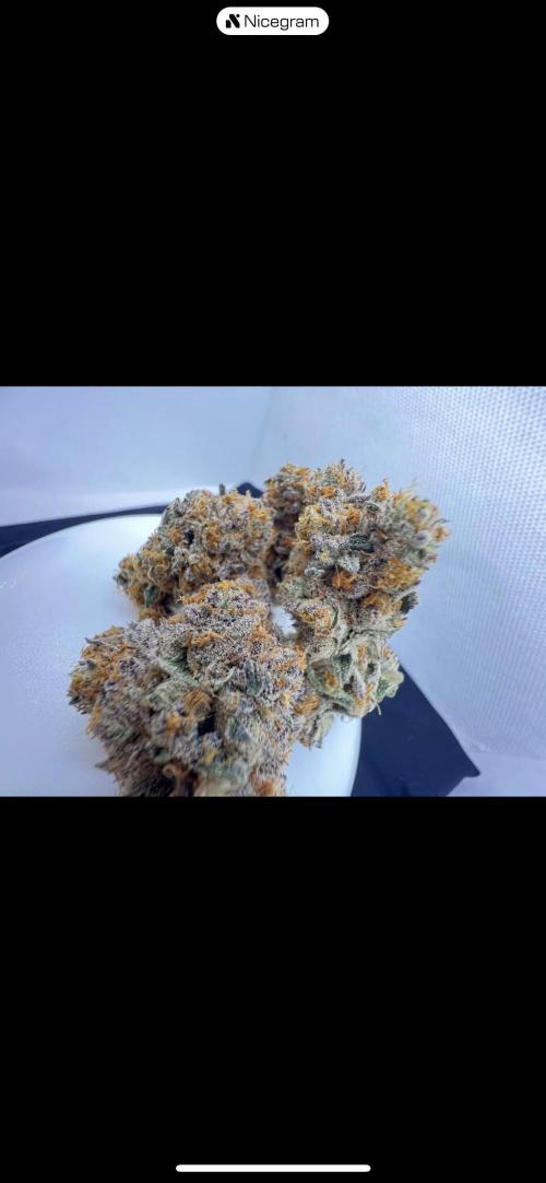 Clone mix party. Week 13