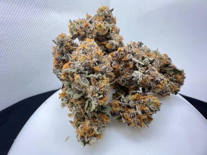Clone mix party. Week 13