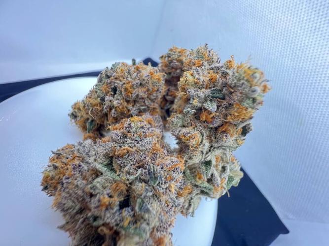 Clone mix party. Week 13