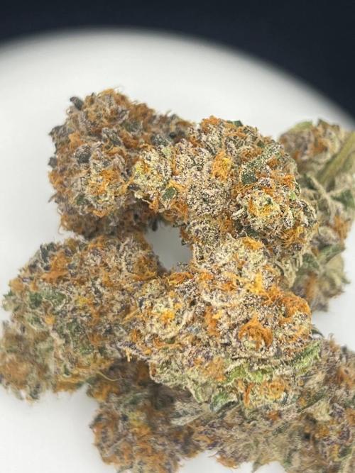 Clone mix party. Week 13
