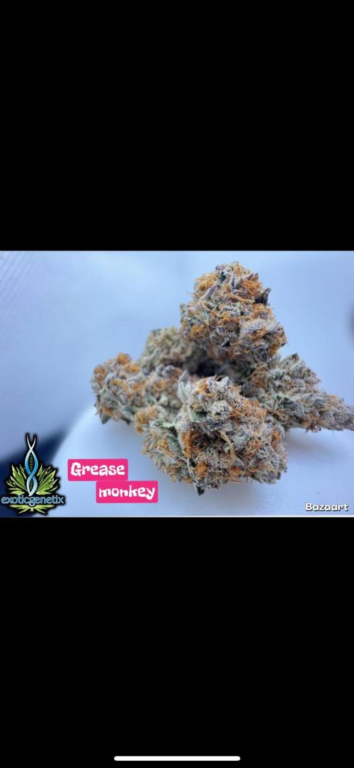 Clone mix party. Week 13