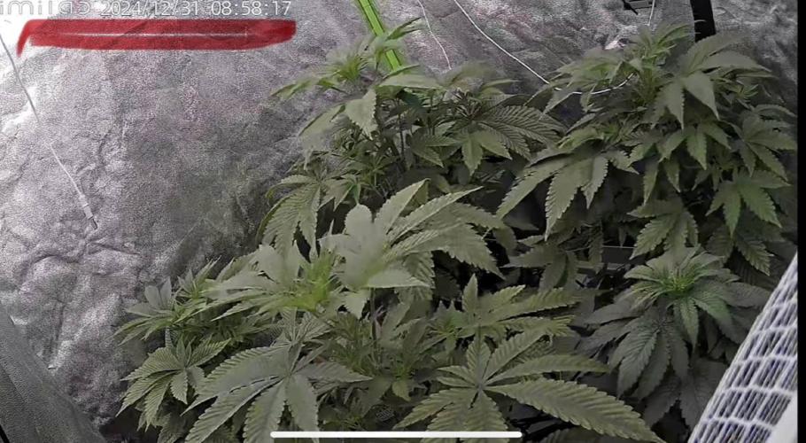 GROUNED ZERO. Week 4