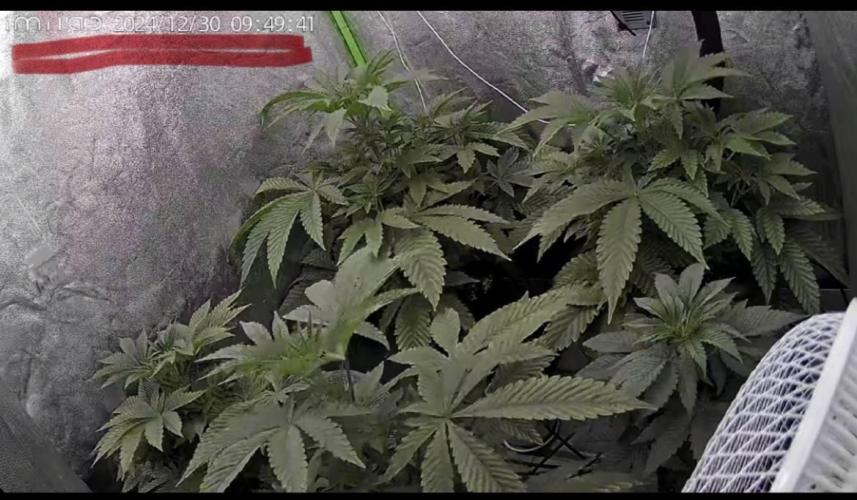 GROUNED ZERO. Week 4