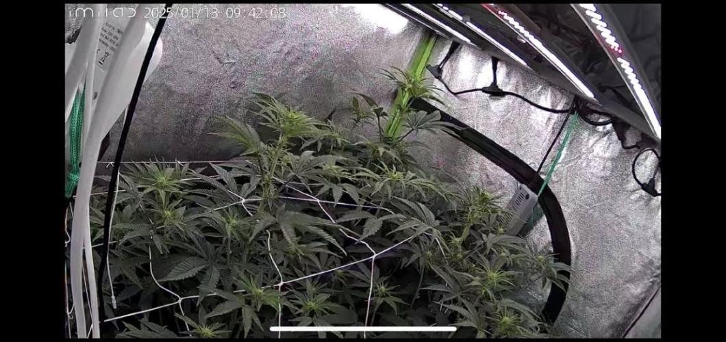Ground zero . Week 6