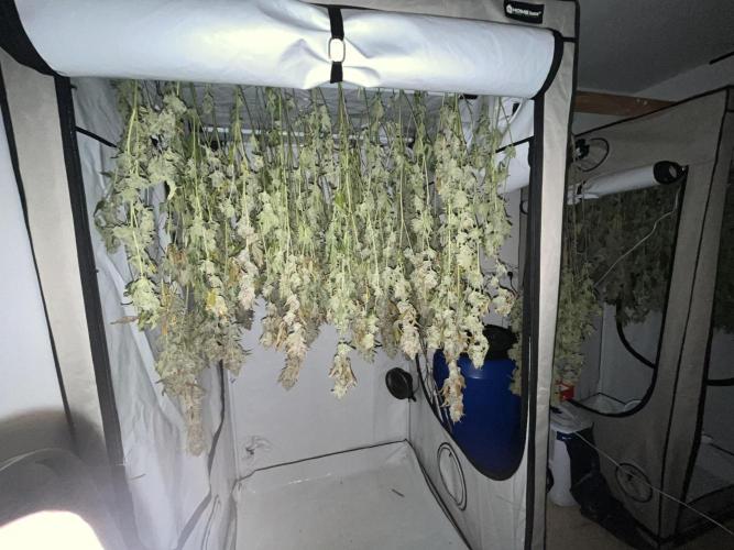 Slurricane #7 S1. Week 24