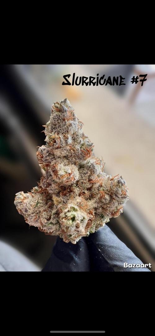 Slurricane #7 S1. Week 25
