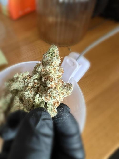 Slurricane #7 S1. Week 25
