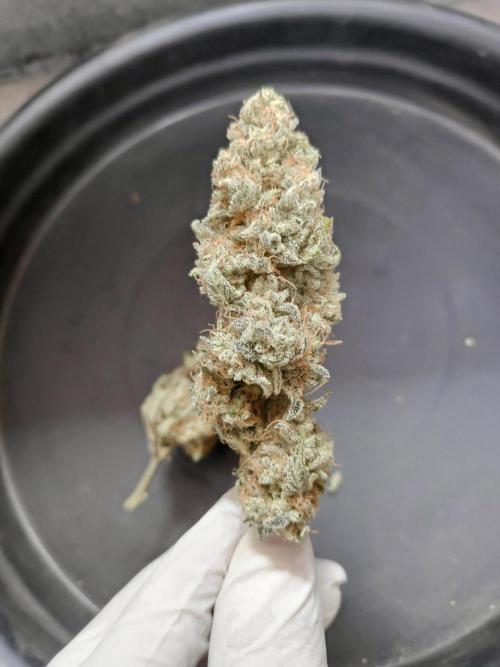 Strawberry milk and qookies remix. Week 13