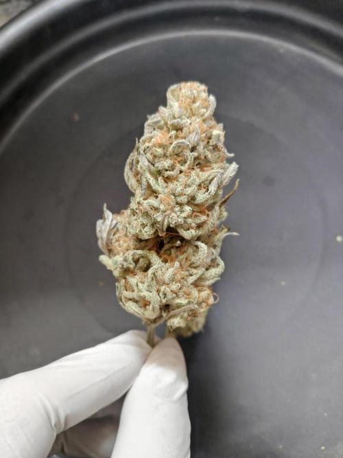 Strawberry milk and qookies remix. Week 13