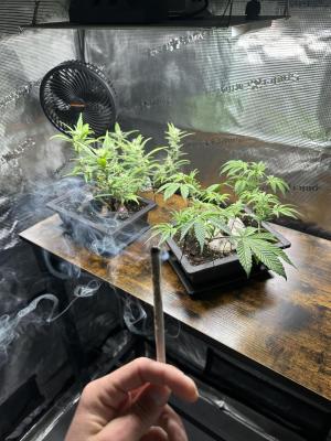Comment by GrimmsGrowGeschichte photo #1