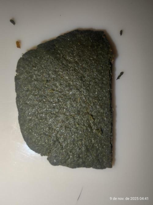 Extraterrestral 🖖🏻👽. Week 20 - 💩