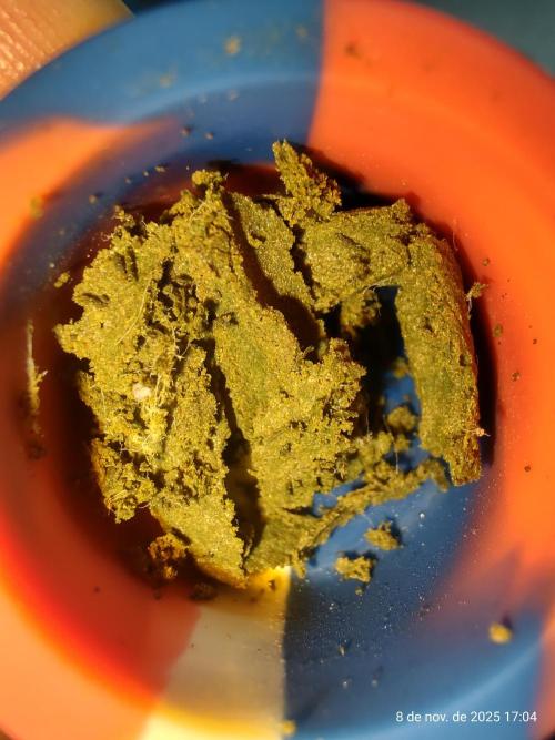 Extraterrestral 🖖🏻👽. Week 20 - 💩