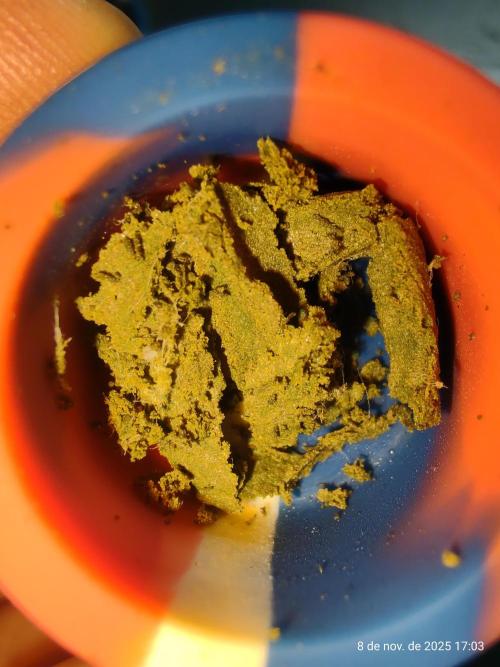 Extraterrestral 🖖🏻👽. Week 20 - 💩