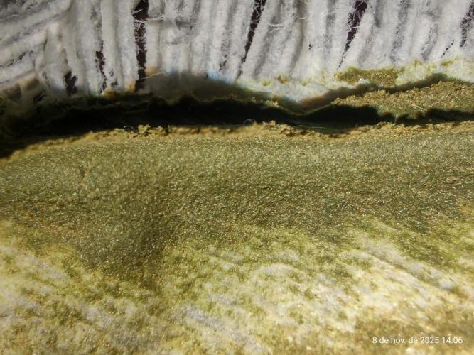 Extraterrestral 🖖🏻👽. Week 20 - 💩