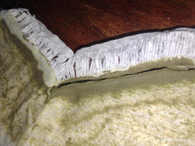 Extraterrestral 🖖🏻👽. Week 20 - 💩