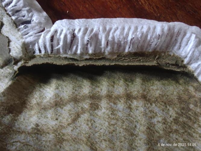 Extraterrestral 🖖🏻👽. Week 20 - 💩