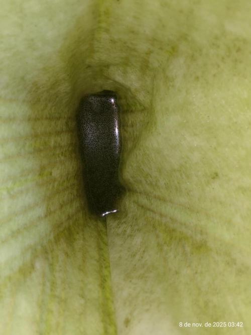 Extraterrestral 🖖🏻👽. Week 20