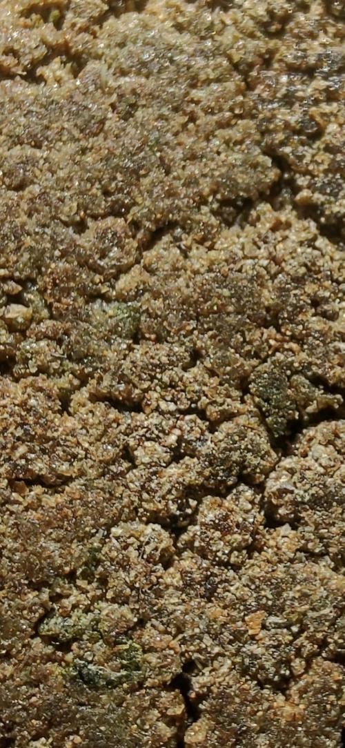 Skittles Pie. Week 23