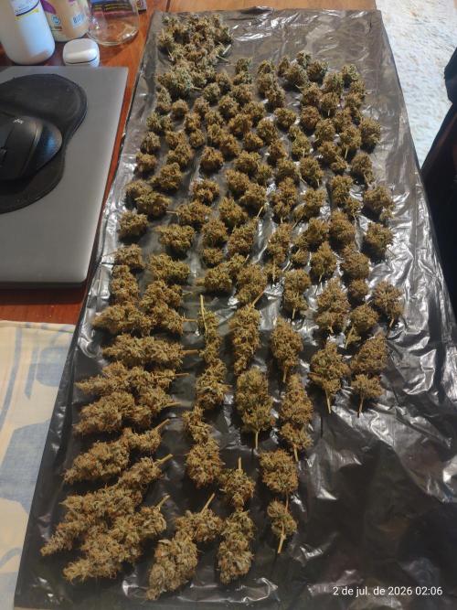 Skittles Pie. Week 23