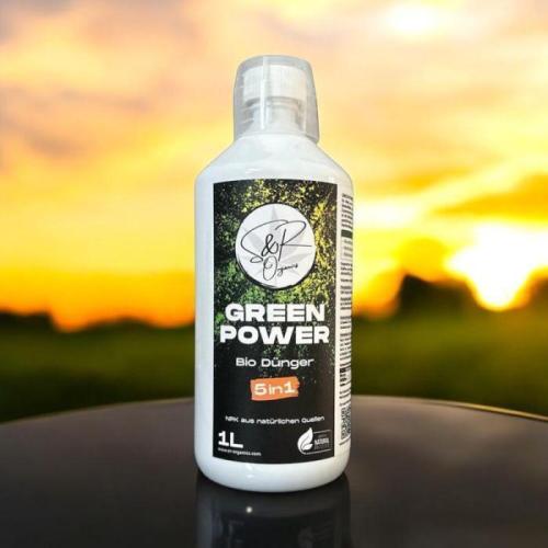 Z-Up Auto mit Zeitraffer jede Woche.. Week 0